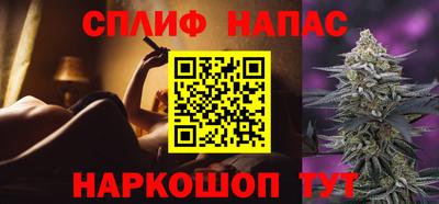 прущие грибы Конаково